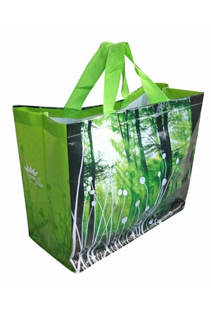 Bolsas del supermercado