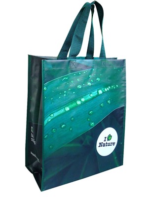 Biopolis shopping bag